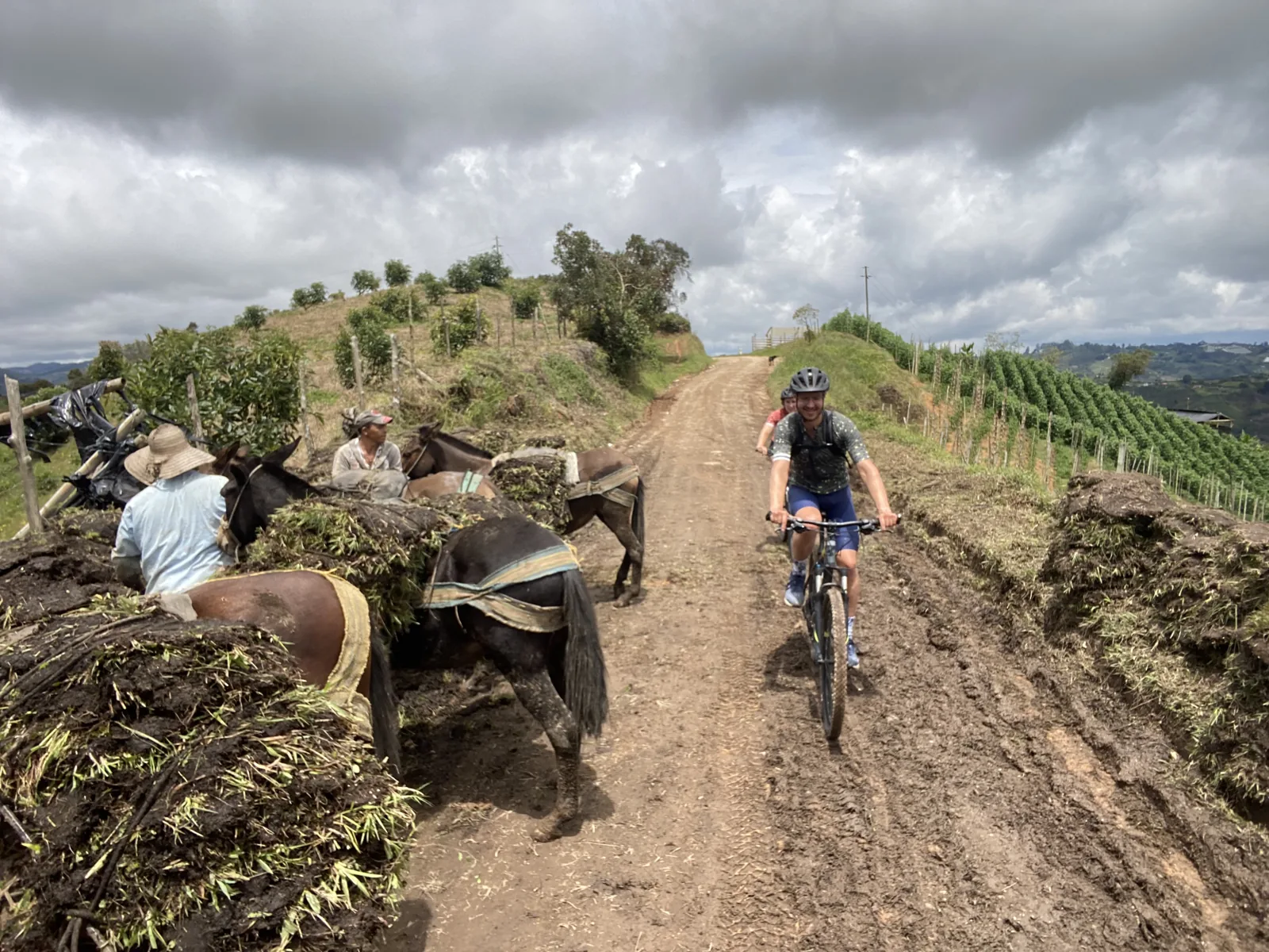 Passing an ox-cart on the backcountry road