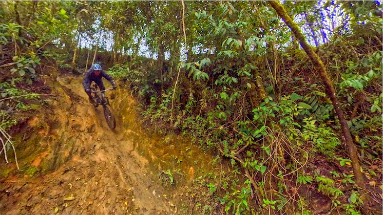 Mountain biker riding down a steep earthen chute on a forest trail