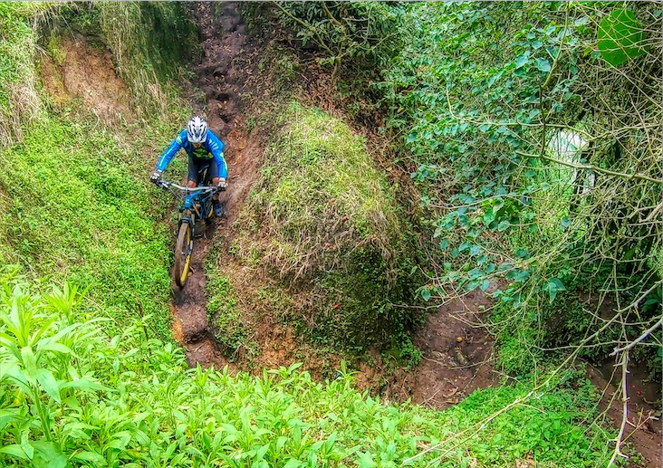 Mountain biker descending a narrow earthen trail through dense green highland vegetation